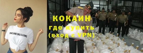 сатива Сафоново