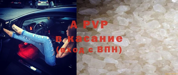 сатива Сафоново