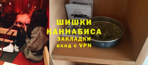 сатива Сафоново