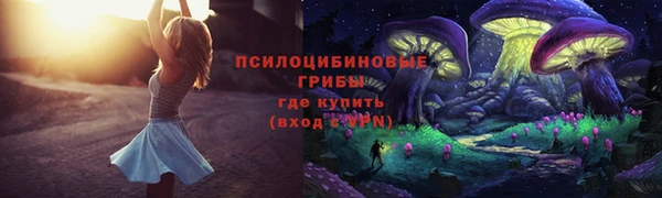 ECSTASY Белокуриха