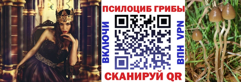 Псилоцибиновые грибы Cubensis  гидра ONION  Благодарный  наркошоп 