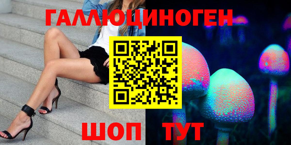 Псилоцибиновые грибы Psilocybe  Благодарный 