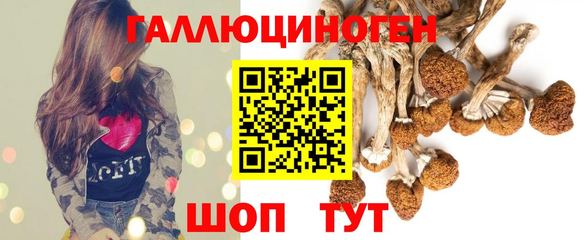 Галлюциногенные грибы Magic Shrooms  Псилоцибиновые грибы Psilocybine cubensis  Благодарный  Вход с VPN 